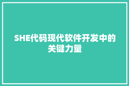 SHE代码现代软件开发中的关键力量