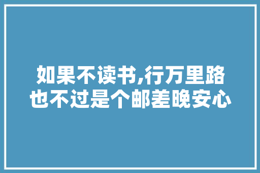 深圳SEO优化技术,助力企业互联网营销的利器