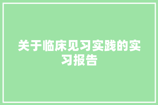深圳SEO学习之旅,掌握搜索引擎优化，开启网络营销新篇章