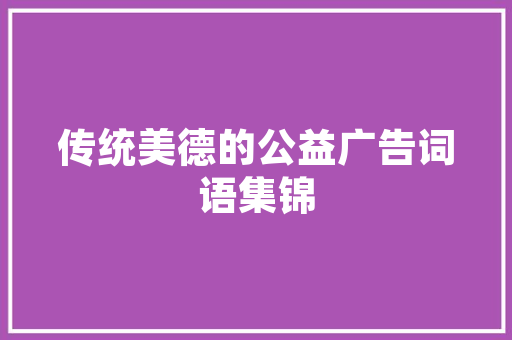 深圳SEO行业翘楚盘点,介绍最佳SEO服务提供商