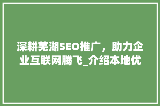 深耕芜湖SEO推广，助力企业互联网腾飞_介绍本地优秀SEO推广公司
