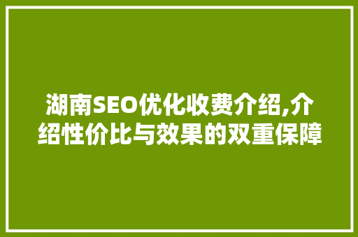 湖南SEO优化收费介绍,介绍性价比与效果的双重保障