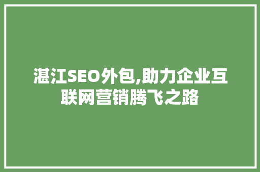 湛江SEO外包,助力企业互联网营销腾飞之路
