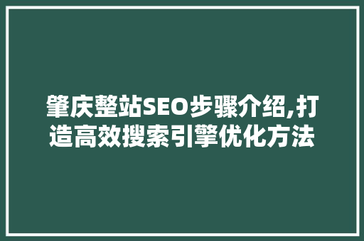 肇庆整站SEO步骤介绍,打造高效搜索引擎优化方法