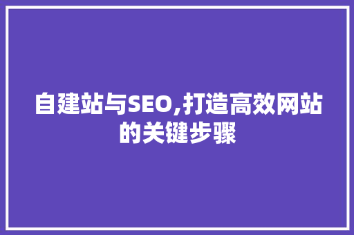 自建站与SEO,打造高效网站的关键步骤
