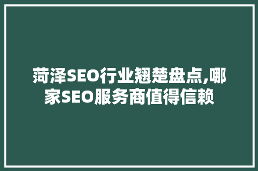 菏泽SEO行业翘楚盘点,哪家SEO服务商值得信赖