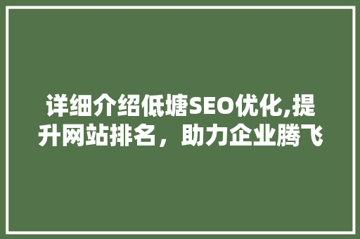 详细介绍低塘SEO优化,提升网站排名，助力企业腾飞