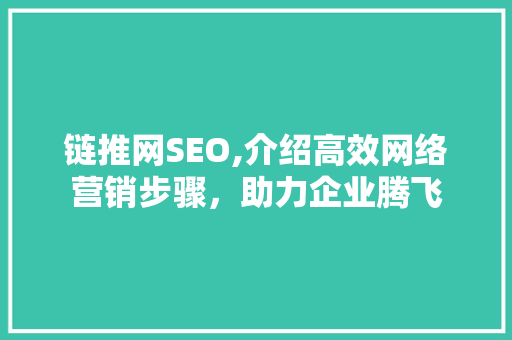 链推网SEO,介绍高效网络营销步骤，助力企业腾飞