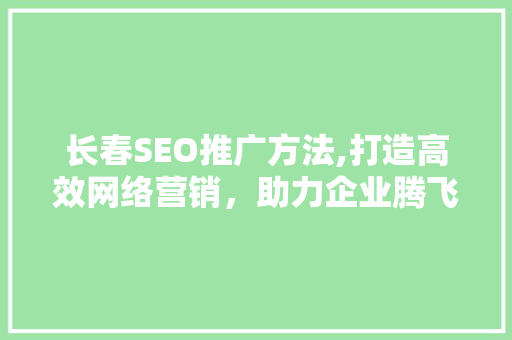 长春SEO推广方法,打造高效网络营销，助力企业腾飞