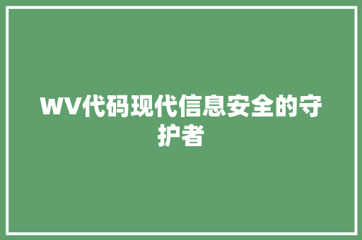 WV代码现代信息安全的守护者