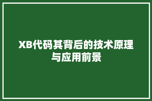 XB代码其背后的技术原理与应用前景