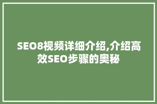 SEO8视频详细介绍,介绍高效SEO步骤的奥秘