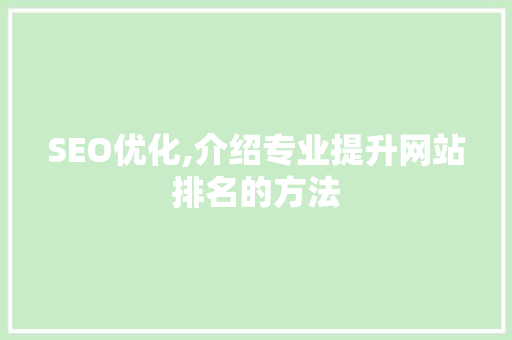SEO优化,介绍专业提升网站排名的方法