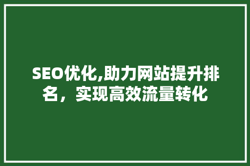 SEO优化,助力网站提升排名，实现高效流量转化