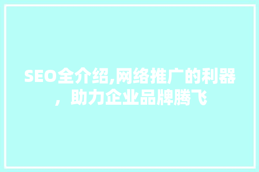 SEO全介绍,网络推广的利器，助力企业品牌腾飞