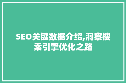 SEO关键数据介绍,洞察搜索引擎优化之路