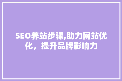 SEO养站步骤,助力网站优化，提升品牌影响力