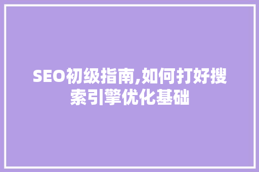 SEO初级指南,如何打好搜索引擎优化基础