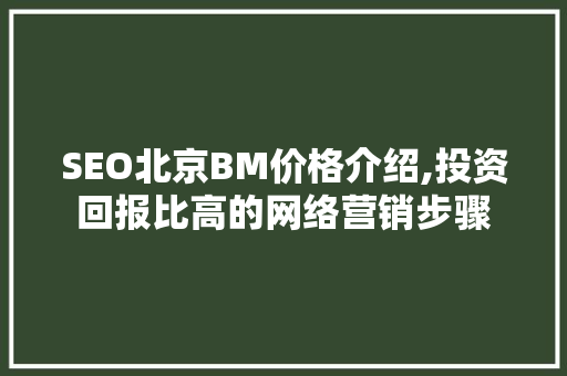 SEO北京BM价格介绍,投资回报比高的网络营销步骤