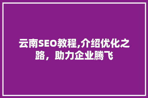 云南SEO教程,介绍优化之路，助力企业腾飞