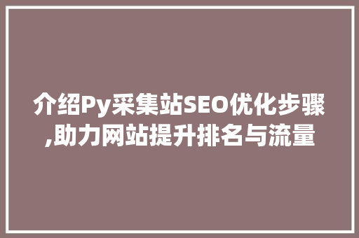 介绍Py采集站SEO优化步骤,助力网站提升排名与流量