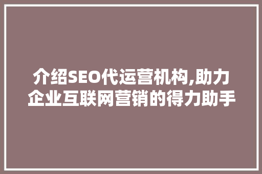 介绍SEO代运营机构,助力企业互联网营销的得力助手