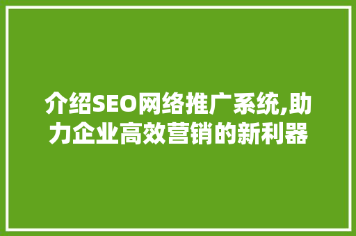 介绍SEO网络推广系统,助力企业高效营销的新利器