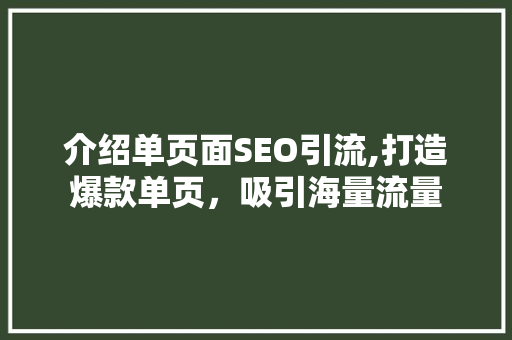 介绍单页面SEO引流,打造爆款单页，吸引海量流量