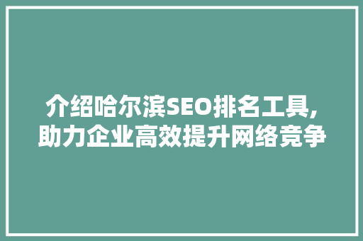 介绍哈尔滨SEO排名工具,助力企业高效提升网络竞争力