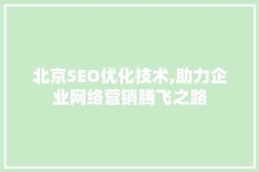 北京SEO优化技术,助力企业网络营销腾飞之路