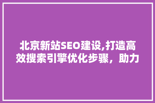北京新站SEO建设,打造高效搜索引擎优化步骤，助力网站腾飞