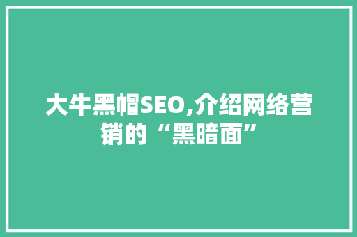 大牛黑帽SEO,介绍网络营销的“黑暗面”