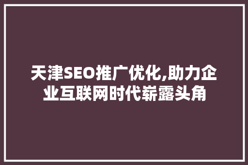 天津SEO推广优化,助力企业互联网时代崭露头角