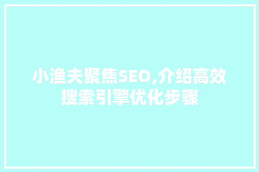 小渔夫聚焦SEO,介绍高效搜索引擎优化步骤