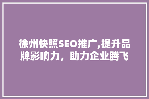 徐州快照SEO推广,提升品牌影响力，助力企业腾飞