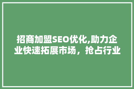 招商加盟SEO优化,助力企业快速拓展市场，抢占行业制高点