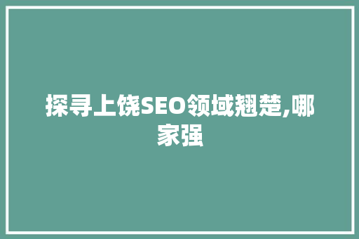 探寻上饶SEO领域翘楚,哪家强