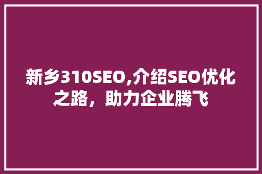 新乡310SEO,介绍SEO优化之路，助力企业腾飞
