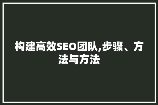 构建高效SEO团队,步骤、方法与方法