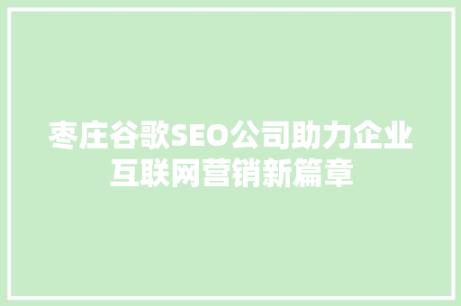 枣庄谷歌SEO公司助力企业互联网营销新篇章  第1张