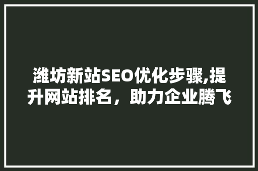 潍坊新站SEO优化步骤,提升网站排名，助力企业腾飞