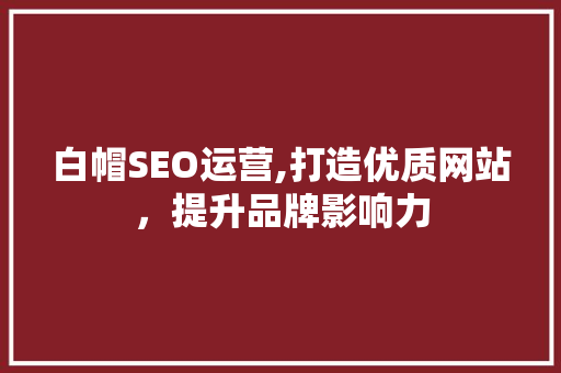 白帽SEO运营,打造优质网站，提升品牌影响力