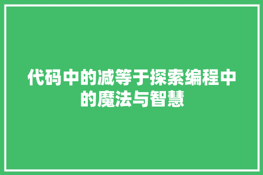 代码中的减等于探索编程中的魔法与智慧
