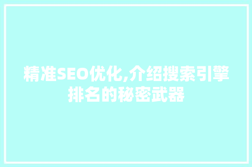 精准SEO优化,介绍搜索引擎排名的秘密武器
