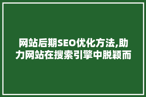 网站后期SEO优化方法,助力网站在搜索引擎中脱颖而出