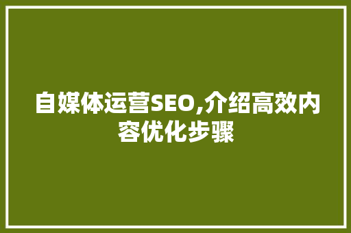 自媒体运营SEO,介绍高效内容优化步骤