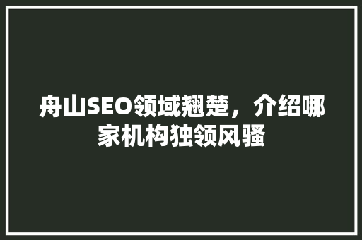 舟山SEO领域翘楚，介绍哪家机构独领风骚
