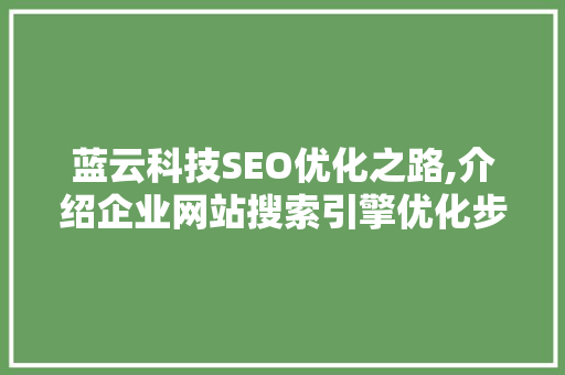 蓝云科技SEO优化之路,介绍企业网站搜索引擎优化步骤