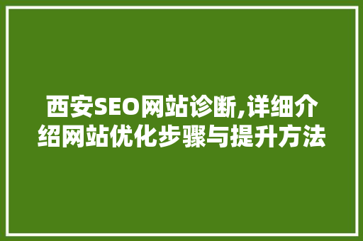 西安SEO网站诊断,详细介绍网站优化步骤与提升方法
