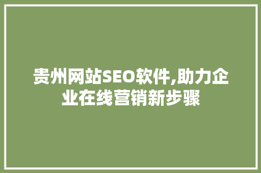 贵州网站SEO软件,助力企业在线营销新步骤